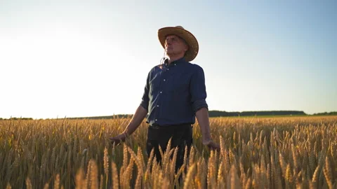 Farmer working in field Stock Footage 135108172