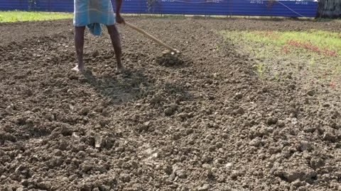 Farmer working in the field Stock Footage 291236715