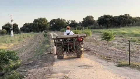 Farmer working in the field with tractor. Video stock 258947094