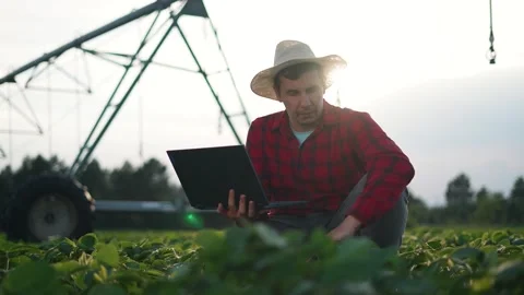 Farmer working field using laptop. Male farmer in hat and plaid shirt analyzing Stock Footage 317008892