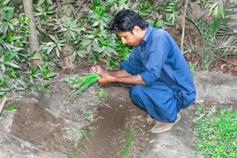 Farmer is working in the fields Stock Photos