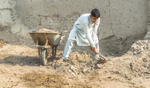 Farmer is working in the fields Stock Photos