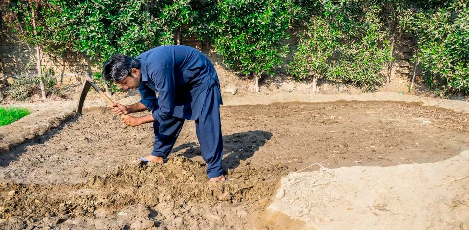 Farmer is working in the fields Stock Photos