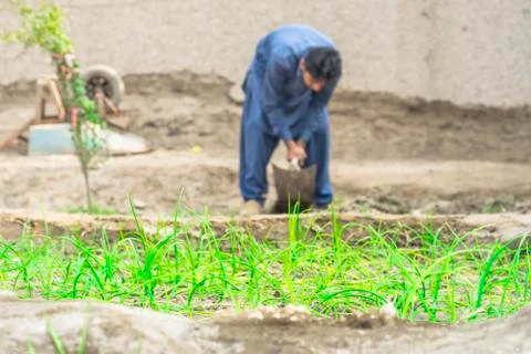 Farmer is working in the fields Stock Photos