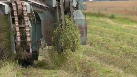 Farmer working with a flax harvester in a flax field in the countryside Stock-Footage 257290101