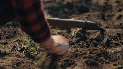 Farmer working in garden, cleaning the vegetable patch Stock Footage 128430260