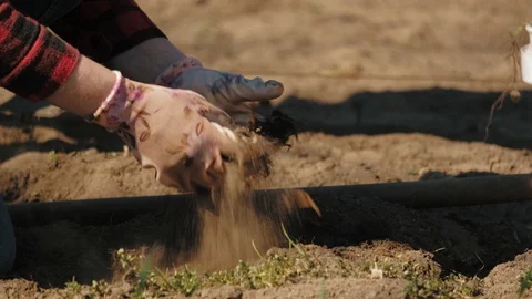 Farmer working in garden, cleaning the vegetable patch Stock Footage 128430351