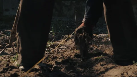 Farmer working in garden, cleaning the vegetable patch Stock Footage 128430476