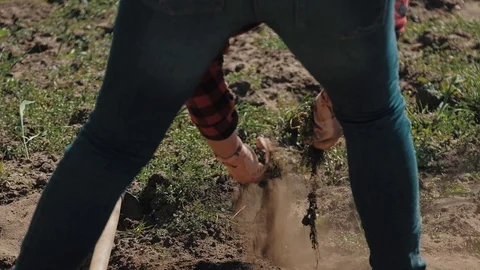 Farmer working in garden, cleaning the vegetable patch Stock Footage 128431815