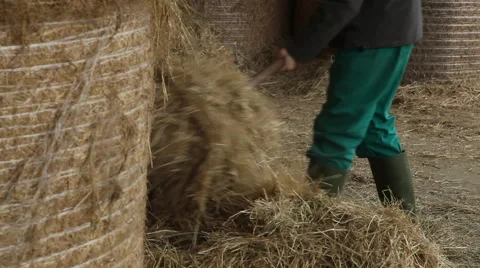 Farmer working with hay Vídeos de archivo 68744805