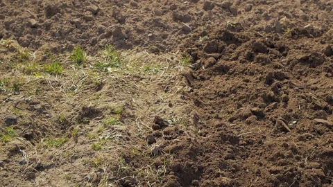 A farmer working in his garden. Vídeos de archivo 89450034