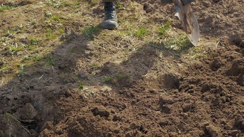 A farmer working in his garden. Video stock 89631777