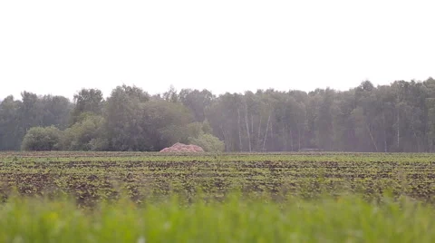Farmer is working on his land Stock-Footage 66253166