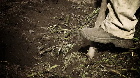 Farmer working the land manually using a shovel to till the land Stock Footage 62874098