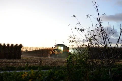 Farmer working long days when harvesting time Stock Photos