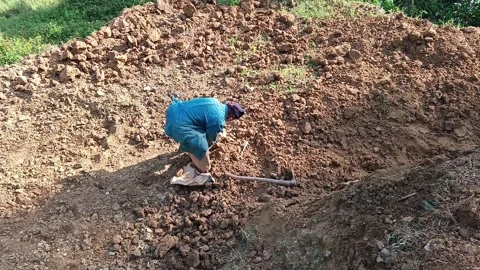Farmer Working Manually in the Field with Traditional Tools Stock Footage 317021060