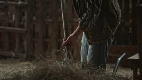 Farmer Working with Pitchfork and Dry Hay inside Rustic Barn Video stock 342034449