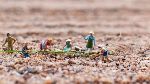 Farmer working plot in the desert with copy space for placement your text Video stock 233138481