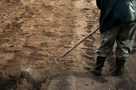 Farmer working with a rake leveling plowed land Stock Photos