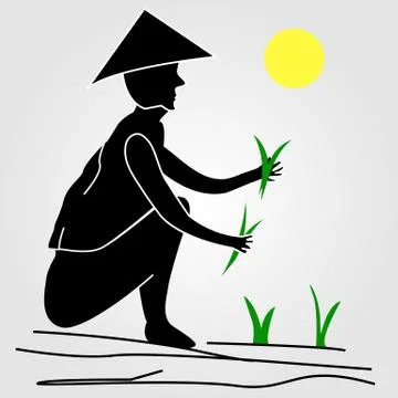 A farmer working in rice fields under the sun  Stock Illustration