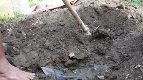 Farmer Working Soil Stock Footage 333957859