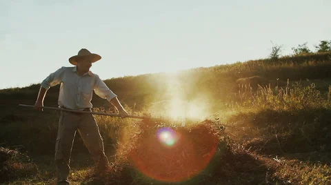 Farmer working at sunset Stock Footage 55373443