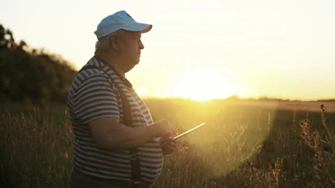 Farmer working with tablet in green wheat field on sun rays at sunset. Rye 스톡 동영상 234870822