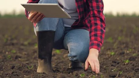 Farmer working in tablet, hand holding earth soil soil, agriculture business Stock Photos