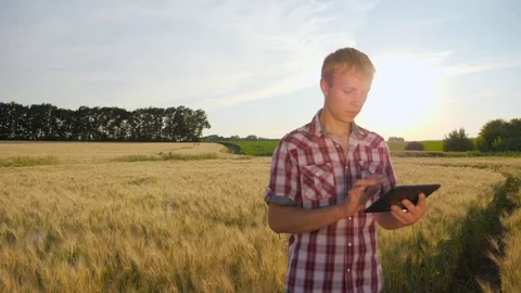 Farmer Working With Tablet At Sunset On the Field Stock Footage 77280664