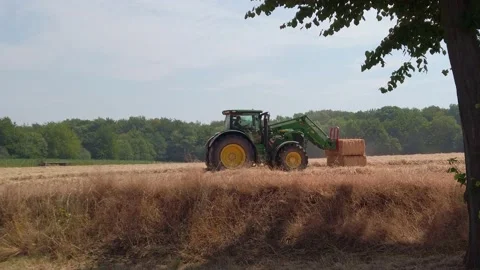Farmer working in tractor and harvesting crop from the field Stock Footage 201524763