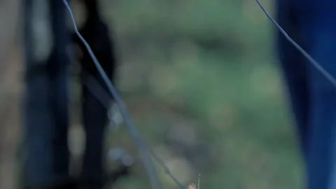 Farmer working on vineyard field putting wire on branches 스톡 동영상 233889447