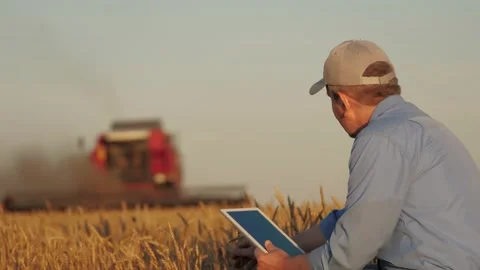 Farmer working in wheat field, combine harvester ploughing in wheat field Stock Footage 293668777