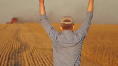 Farmer working in wheat field, combine harvester ploughing in wheat field Stock Footage 294670138
