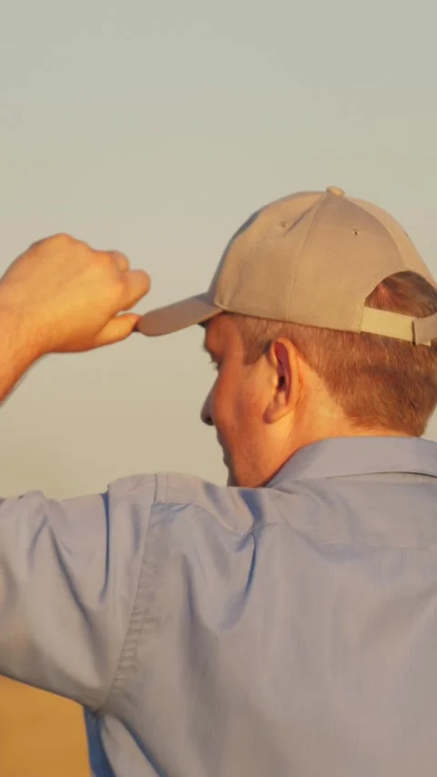 Farmer working in wheat field, combine harvester ploughing in wheat field Stock Footage 297936889