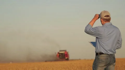 Farmer working in wheat field, combine harvester ploughing in wheat field Stock Footage 299736571