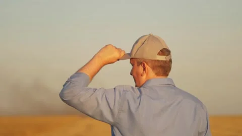 Farmer working in wheat field, combine harvester ploughing in wheat field Stock Footage 299736669