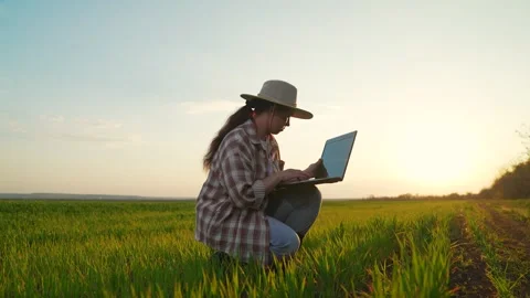 Farmer works on computer in green field. Female farmer with laptop cultivates Stock Footage 335663301