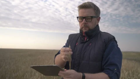 A farmer works with a computer tablet in a wheat field at sunset. Businessman Stock Footage 164708061