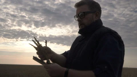 Farmer works with a computer tablet in a wheat field at sunset. Businessman with Stock Footage 164708347