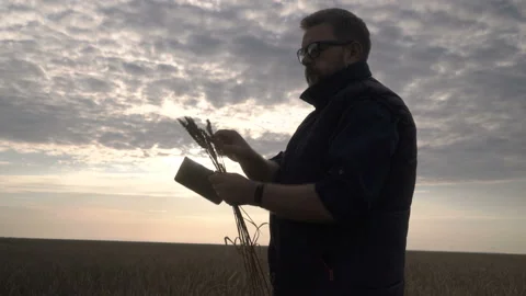 Farmer works with a computer tablet in a wheat field at sunset. Businessman with Stock Footage 164708702