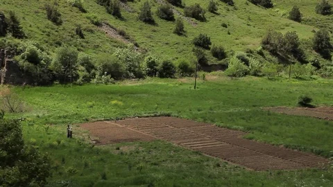 Farmer works in the field Stock Footage 77602071