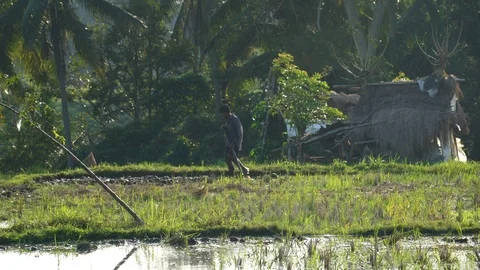 Farmer works in the field. Stock Footage 113613944