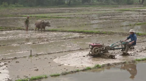 Farmer works 스톡 동영상 49061879