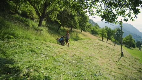 Farmer works hard mowing grass on a small alpine farm in warm sunlight Stock Footage 344144536