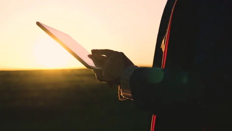 Farmer works with his hand tablet field green wheat sunset. Agriculture. smart Vídeos de archivo 237308539