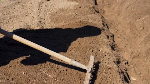 Farmer works with a rake in a field, close-up Stock Footage 240840824