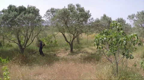 Farmer Works with a Trimmer Machine in the Field Video stock 62696596