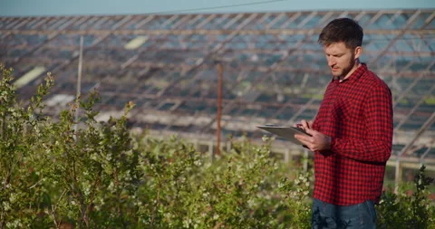Farmer Writing Notes in Greenhouse Close-Up 스톡 동영상 308131292