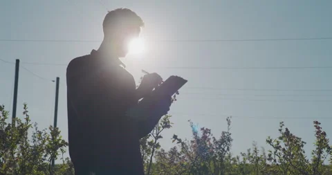 Farmer Writing at Sundown with Sharp Sunlight Video stock 308127627