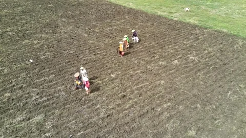 Farmers' activities in the fields Stock Footage 302726692